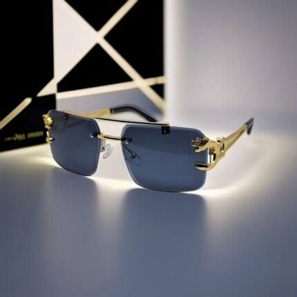 Sunglases